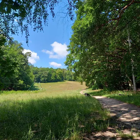 Sopot, Loft Na Pietrze Willi. Bezplatny Parking. 아파트
